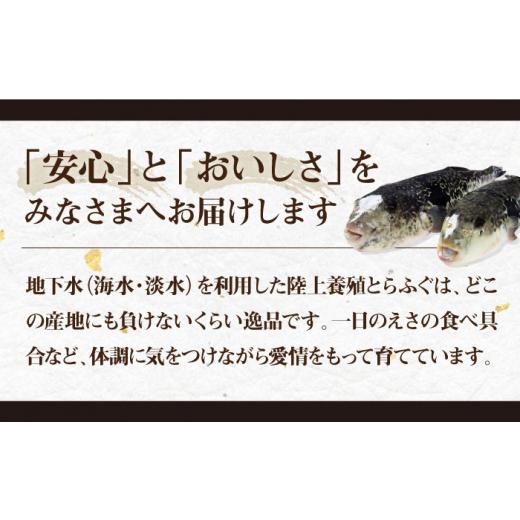 ふるさと納税 フグ 長崎県 壱岐市 とらふぐ 刺身＆鍋（3〜4人前） 《壱岐市》 なかはら JDT005 ふぐ フグ 河豚 とらふぐ トラフグ 刺身 刺し身 ふぐ刺し フグ…_6