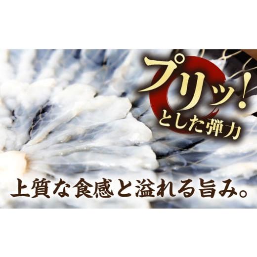 ふるさと納税 フグ 長崎県 壱岐市  全12回定期便 とらふぐ 刺身 （2〜3人前）《壱岐市》 なかはら JDT026 ふぐ フグ 河豚 とらふぐ トラフグ 刺身 刺し身 ふぐ…の画像