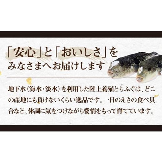 ふるさと納税 フグ 長崎県 壱岐市  全12回定期便 とらふぐ 刺身 （2〜3人前）《壱岐市》 なかはら JDT026 ふぐ フグ 河豚 とらふぐ トラフグ 刺身 刺し身 ふぐ…の画像