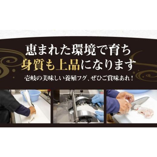 ふるさと納税 フグ 長崎県 壱岐市  全12回定期便 とらふぐ 刺身 （2〜3人前）《壱岐市》 なかはら JDT026 ふぐ フグ 河豚 とらふぐ トラフグ 刺身 刺し身 ふぐ…の画像