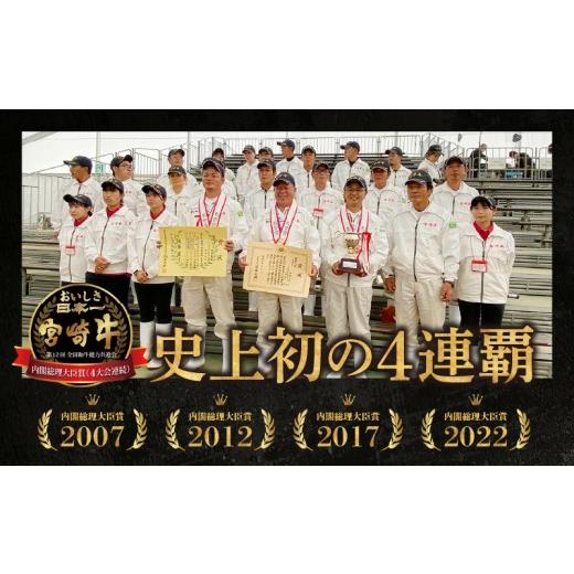ふるさと納税 牛肉 スネ 宮崎県 高千穂町 宮崎県産黒毛和牛A4等級以上 高千穂牛すね肉 800g | 牛肉 肉 お肉 牛すね肉 国産牛 ブランド牛 和牛 牛肉 国産 パッ… |  | 04