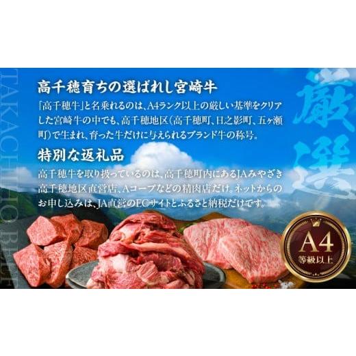 ふるさと納税 牛肉 スネ 宮崎県 高千穂町 宮崎県産黒毛和牛A4等級以上 高千穂牛すね肉 800g | 牛肉 肉 お肉 牛すね肉 国産牛 ブランド牛 和牛 牛肉 国産 パッ… |  | 06