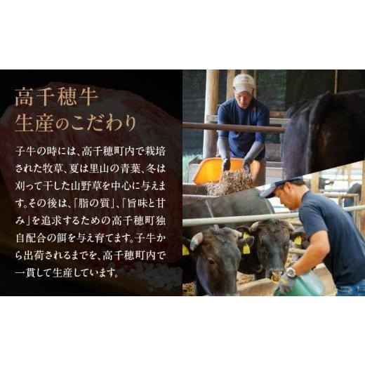 ふるさと納税 牛肉 スネ 宮崎県 高千穂町 宮崎県産黒毛和牛A4等級以上 高千穂牛すね肉 800g | 牛肉 肉 お肉 牛すね肉 国産牛 ブランド牛 和牛 牛肉 国産 パッ… |  | 07
