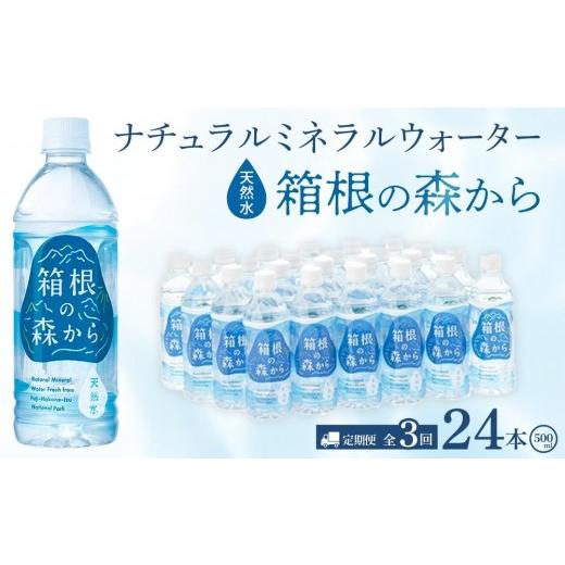 ふるさと納税 水・ミネラルウォーター 500mL〜999mL 神奈川県 箱根町  定期便全3回 ナチュラルミネラルウォーター　箱根の森から　500ml×24本（月１回発送） …_1