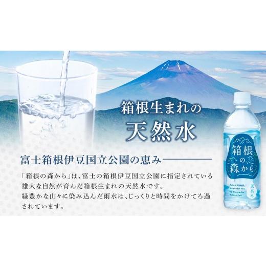 ふるさと納税 水・ミネラルウォーター 500mL〜999mL 神奈川県 箱根町  定期便全3回 ナチュラルミネラルウォーター　箱根の森から　500ml×24本（月１回発送） …_2