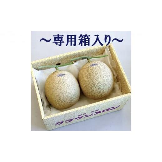 ふるさと納税 メロン メロン青肉 静岡県 浜松市 クラウンメロン 規格外特大玉 2玉入 毎月お届け12ヶ月定期便 配送不可：離島 果物 フルーツ デザート おやつ …_6