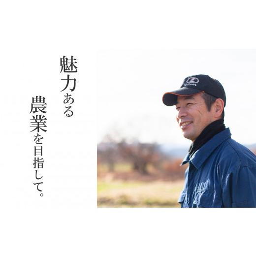 海外品 ふるさと納税 秋田県 鹿角市 【定期便】秋田県鹿角市産 あきたこまち 10kg×5ヶ月／計50kg【豊田農園】●2023年10月中旬発送開始　お米 米 あきたこまち 令和5… 【1061779016】(37400円)