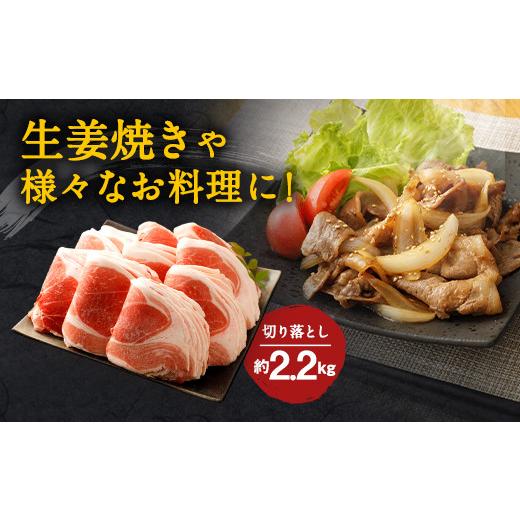 ふるさと納税 大分県 竹田市 大分県産ブランド豚「米の恵み」肩切り落とし 約2.2kg 220g×10袋 小分け｜furusatochoice｜05