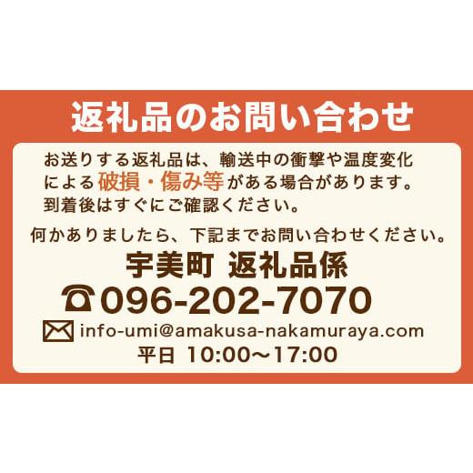 ふるさと納税 福岡県 宇美町 福岡産あまおう４パック＆練乳 先行予約※2024年11月下旬〜2025年4月上旬にかけて順次発送予定　AX018｜furusatochoice｜08