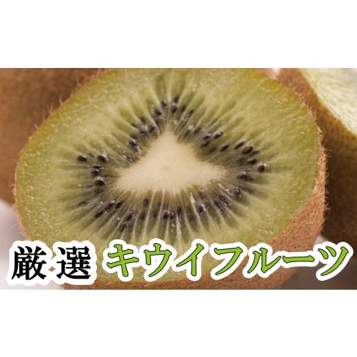 ふるさと納税 果物類 みかん 和歌山県 串本町 厳選キウイフルーツ0.5kg+250g(傷み補償分) ikd038D