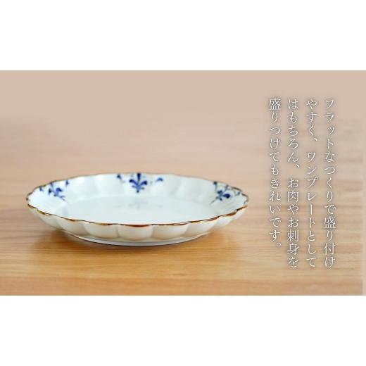食器 お皿 酒器 グラス 有田焼 グラス 信楽焼 美濃焼 ふるさと納税 食器・グラス 皿 佐賀県 有田町 皓洋窯 有田焼 菊割皿 L