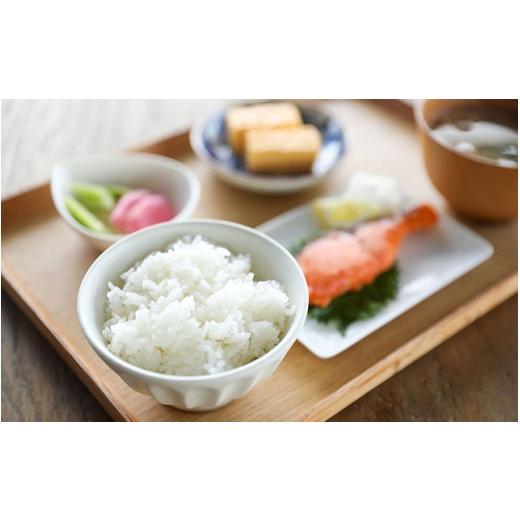 ふるさと納税 無洗米 山形県 庄内町 新米受付 令和8年産 特別栽培米 はえぬき 無洗米 5kg 5kg×1袋 2026年産 ブランド米 米 国産 単一原料米 山形 庄内平野 …_8