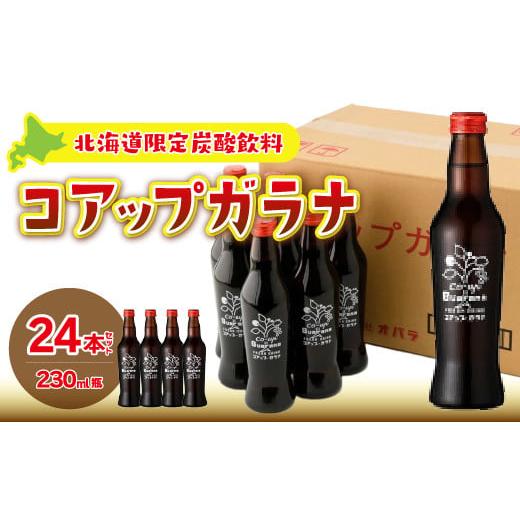 ふるさと納税 北海道 七飯町 コアップガラナ24本セット(230ml瓶) ふるさと納税 人気 おすすめ ランキング コアップガラナ ガラナ 道産子ソウルドリンク 北海…