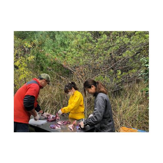 【ほぼ未使用】 ふるさと納税 静岡県 伊豆市 SDGｓ 野生鹿を仕留め 命を頂く プロの猟師と狩猟（わな猟）日帰り 体験チケット ２名様 【食育 絆づくり 静岡県 伊豆市】F-39 【LWH2214404111】(78000円)