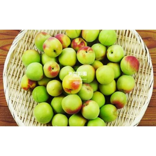 ふるさと納税 野菜類 長野県 小諸市 信州産南高梅 2kg 野菜 野菜セット 果肉 芳醇 香り キング 梅干し ジャム ジュース 特産物  