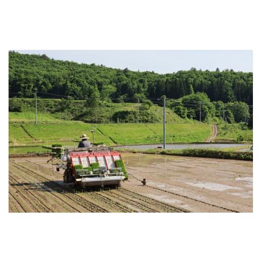 米 ひとめぼれ 福島県 北塩原村  先行予約／令和7年産 新米 会津・北塩原村産「ひとめぼれ」10kg（大塩棚田米・標高500ｍ里山栽培） 【あまみ】 ふるさと納…