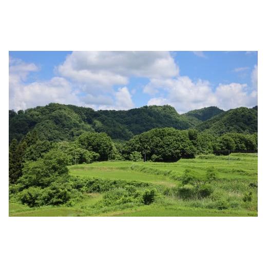 米 ひとめぼれ 福島県 北塩原村  先行予約／令和7年産 新米 会津・北塩原村産「ひとめぼれ」10kg（大塩棚田米・標高500ｍ里山栽培） 【あまみ】 ふるさと納…