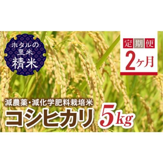 ふるさと納税 米 コシヒカリ 福島県 西会津町 定期便2ヶ月 ホタルの里米 環境に配慮し農薬を減らした栽培米 コシヒカリ精米5kg