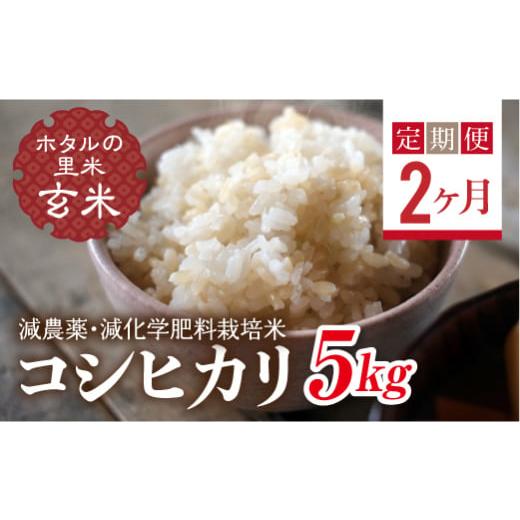 ふるさと納税 玄米 福島県 西会津町 定期便2ヶ月 ホタルの里米 環境に配慮し農薬を減らした栽培米 コシヒカリ玄米5kg