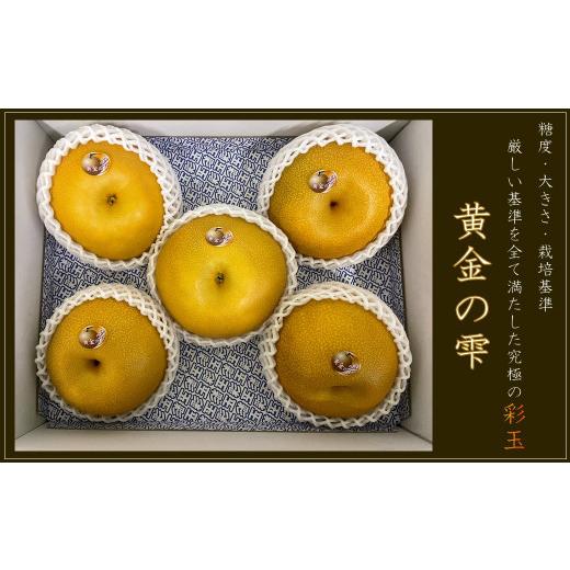 ふるさと納税 梨 埼玉県 伊奈町 埼玉県の梨 彩玉 から選ばれた特別限定品「黄金の雫」 数量限定 ブランド梨 高級梨 お取り寄せフルーツ