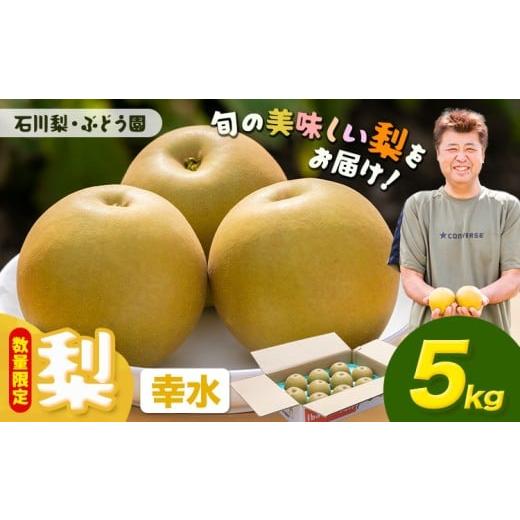 ふるさと納税 梨 茨城県 結城市 先行予約・数量限定 梨 約5kg 幸水 石川梨・ぶどう園[8月上旬-8月中旬頃出荷]茨城県 結城市 梨 ナシ なし 果物 フルーツ 幸…