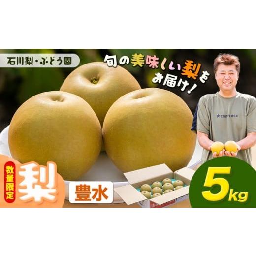 ふるさと納税 梨 茨城県 結城市 数量限定 梨 約5kg 豊水 石川梨・ぶどう園[9月上旬-9月中旬頃出荷]茨城県 結城市 梨 ナシ なし 果物 フルーツ 豊水 ほうす…