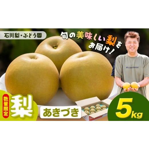 ふるさと納税 梨 茨城県 結城市 数量限定 梨 約5kg あきづき 石川梨・ぶどう園[9月上旬-9月中旬頃出荷]茨城県 結城市 梨 ナシ なし 果物 フルーツ あきづき…