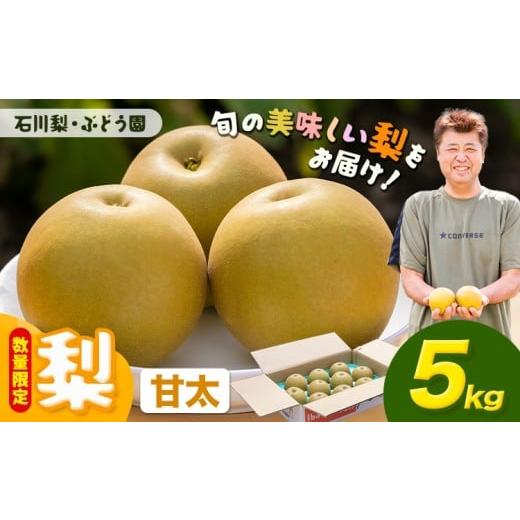 ふるさと納税 梨 茨城県 結城市 先行予約・数量限定 梨 約5kg 甘太 石川梨・ぶどう園[9月下旬-10月上旬頃出荷]茨城県 結城市 梨 ナシ なし 果物 フルーツ …