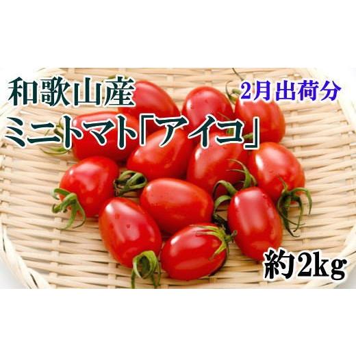 ふるさと納税 トマト ミニトマト 和歌山県 すさみ町 2月出荷分 和歌山産ミニトマト「アイコトマト」約2kg(S・Mサイズおまかせ) tec100A-2 2月発送分