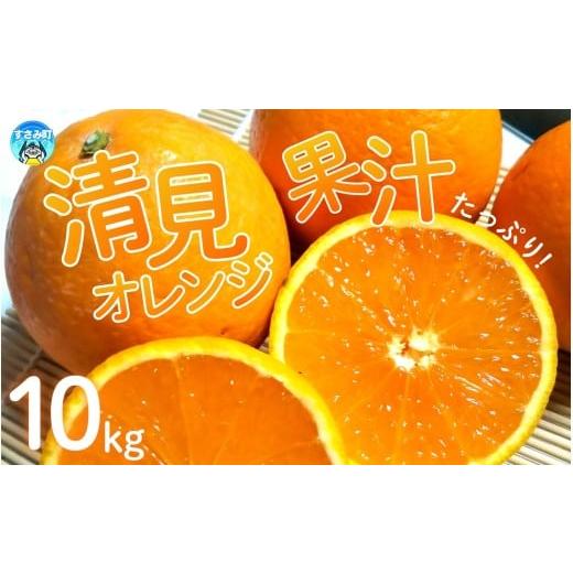 ふるさと納税 みかん・柑橘類 オレンジ 和歌山県 すさみ町 農家直送 果汁たっぷり 清見オレンジ 約10kg 有機質肥料100% サイズ混合 2026年3月〜4月に順次…