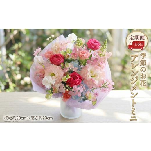 ふるさと納税 雑貨・日用品 花 茨城県 筑西市 定期便 季節のお花アレンジメントミニ*6回 アレンジメント 生花 ミニサイズ:定期便6回