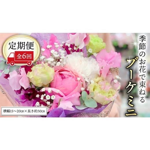 ふるさと納税 花・苗木 花束 茨城県 筑西市 定期便 季節のお花で束ねるブーケミニ*6回 花束 ブーケ 生花 CT003ci ミニサイズ:定期便6回