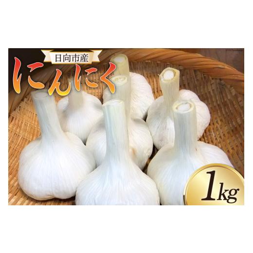 ふるさと納税 人参・大根・他根菜 宮崎県 日向市 期間限定発送 にんにく 国産 1kg 甲斐自然派農園 宮崎県 日向市 452060131 ふるさと納税 ニンニク 1キロ 栽…
