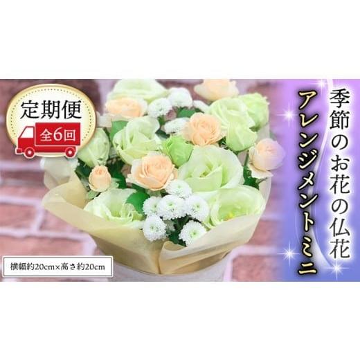 ふるさと納税 雑貨・日用品 花 茨城県 筑西市 季節のお花の仏花アレンジメントミニ*定期便6回 アレンジメント 仏花 生花 お供え CT028ci 定期便6回:ミニサイ…