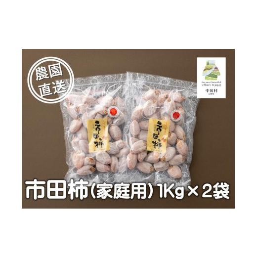 ふるさと納税 果物類 柿 長野県 中川村 2027年1月中旬以降順次お届け予定 富永農園の自家用市田柿 お徳用2パックA級品 2kg 2027年1月中旬以降順次お…