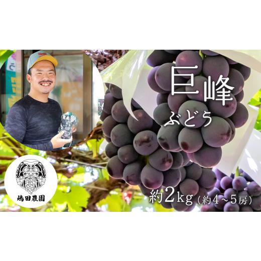 ふるさと納税 ぶどう 巨峰 熊本県 和水町 巨峰 ぶどう 約2kg 熊本県和水町産 | 熊本県 熊本 和水町 くまもと なごみまち なごみ ぶどう ブドウ 葡萄 巨峰 種あ…