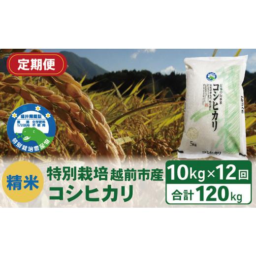 ふるさと納税 福井県 越前市 【定期便12回】（令和5年度新米 精米）特別栽培 越前市産コシヒカリ 10kg×12回｜furusatochoice｜02