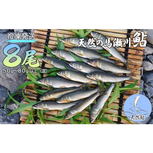 ふるさと納税 川魚 あゆ 岐阜県 下呂市 先行予約 期間限定 (発送時期:2026年7月中旬〜11月頃まで)清流が育む天然の馬瀬川鮎 8尾(1尾あたり重さ50g〜80g…