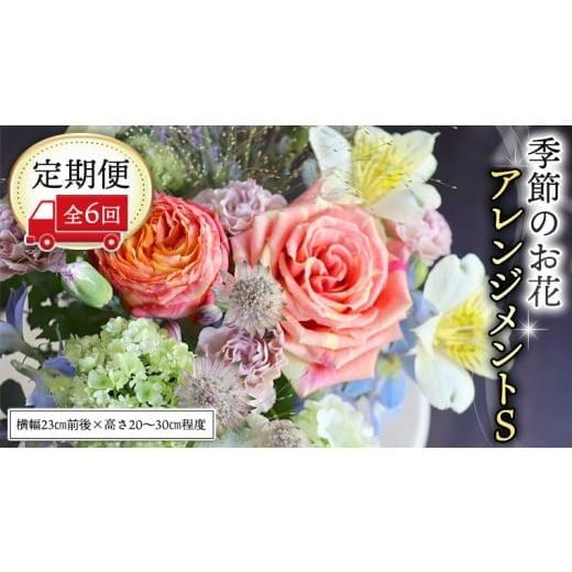 ふるさと納税 雑貨・日用品 花 茨城県 筑西市 定期便 季節のお花アレンジメントS*6回 アレンジメント 生花 CT017ci Sサイズ:定期便6回