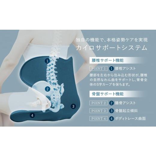 ふるさと納税 雑貨・日用品 愛知県 名古屋市 Style SMART ブラック | 骨盤 椅子 座椅子 姿勢サポート 骨盤補正 健康グッズ 人気 おすすめ 腰痛対策 体幹サポー…