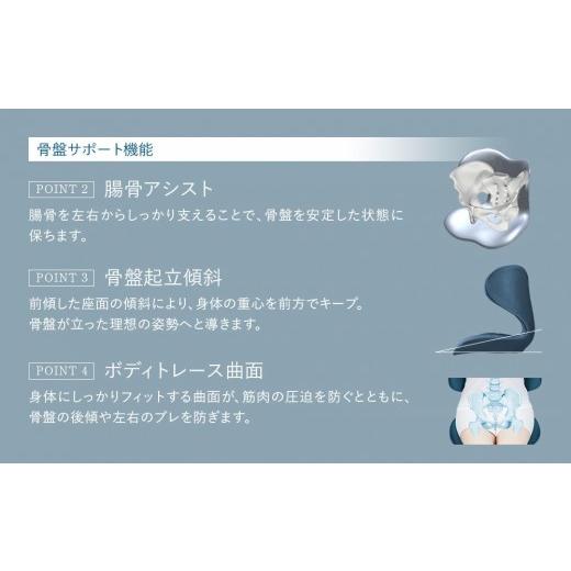 ふるさと納税 雑貨・日用品 愛知県 名古屋市 Style SMART ブラック | 骨盤 椅子 座椅子 姿勢サポート 骨盤補正 健康グッズ 人気 おすすめ 腰痛対策 体幹サポー…