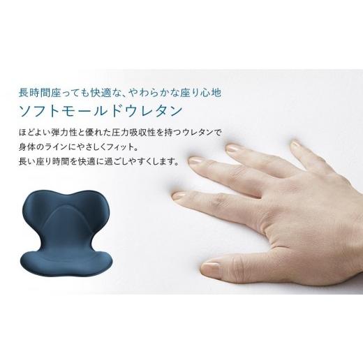 ふるさと納税 雑貨・日用品 愛知県 名古屋市 Style SMART ブラック | 骨盤 椅子 座椅子 姿勢サポート 骨盤補正 健康グッズ 人気 おすすめ 腰痛対策 体幹サポー…
