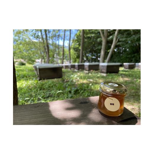 ふるさと納税 加工品等 はちみつ 長野県 辰野町 348 百花はちみつ 100g 百花はちみつ 100g