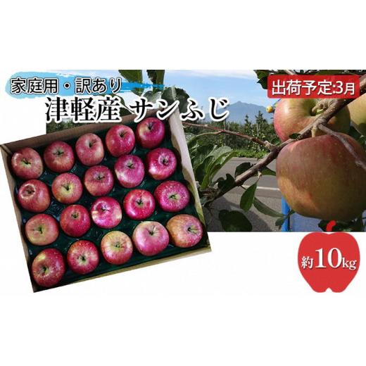 ふるさと納税 りんご 青森県 鶴田町   3月 津軽産 家庭用 サンふじ 約10kg 訳あり 青森りんご・原正アップル