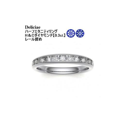 ふるさと納税 アクセサリー リング 山梨県 甲府市 [ 甲府ジュエリー ] サイズ:9.5号 Deliciae H&amp;C 天然ダイヤモンド レール留め ハーフエタニティリン…
