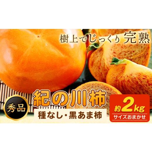 ふるさと納税 果物類 柿 和歌山県 紀の川市 先行予約 紀の川柿 約2kg (種なし・黒あま柿) 秀品 紀の川市厳選館 [2026年10月上旬-11月上旬出荷] 和歌山県 紀…
