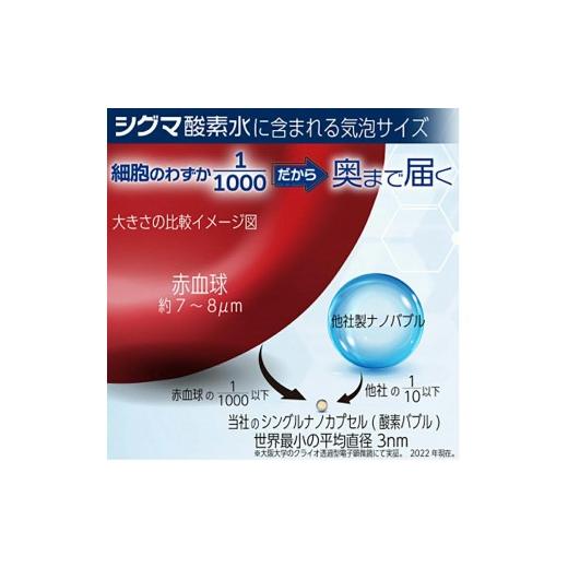 ふるさと納税 水・ミネラルウォーター 2.1L〜 茨城県 ひたちなか市  酸素ナノバブル水 シグマ酸素水 10リットル×1箱_1