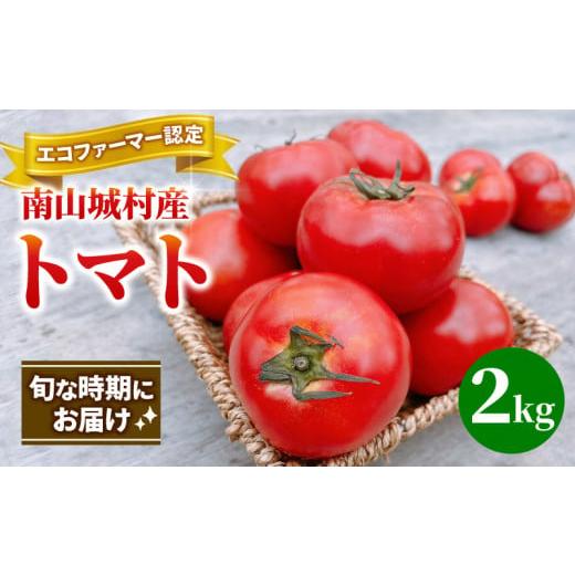 ふるさと納税 野菜類 トマト 京都府 南山城村 旬な時期にお届け 7月下旬より随時配送 内藤おじちゃんが育てる採れたて新鮮な童仙房高原トマト2kgセット エコ…