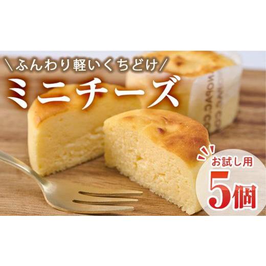 ふるさと納税 ケーキ・カステラ チーズケーキ 大分県 佐伯市 お試し用 濃厚チーズケーキ (計5個) チーズケーキ チーズ スイーツ 冷凍 お菓子 おやつ 焼き菓子…