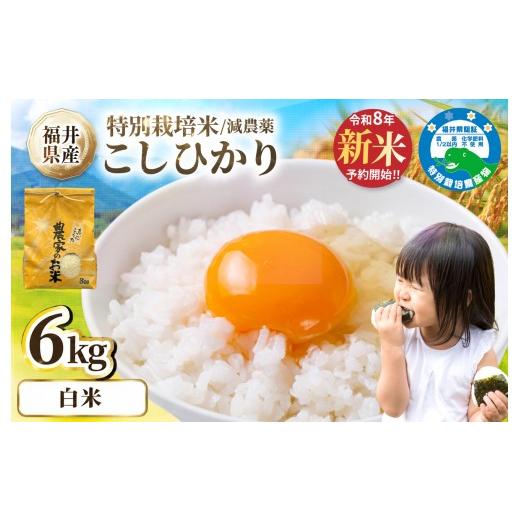 ふるさと納税 米 コシヒカリ 福井県 越前市 ＼新米先行予約/10月 減農薬米 こしひかり 6kg(3kg×2袋)/令和8年 福井県産 (白米)2026年10月発送 人気品種 少…